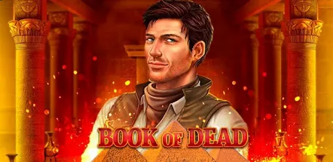 Выигрыши Book of Dead Выигрыши Book of Dead